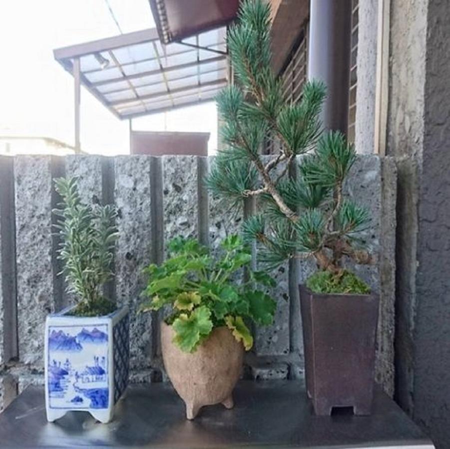 Guesthouse Tai - Kyoto — Photos 2